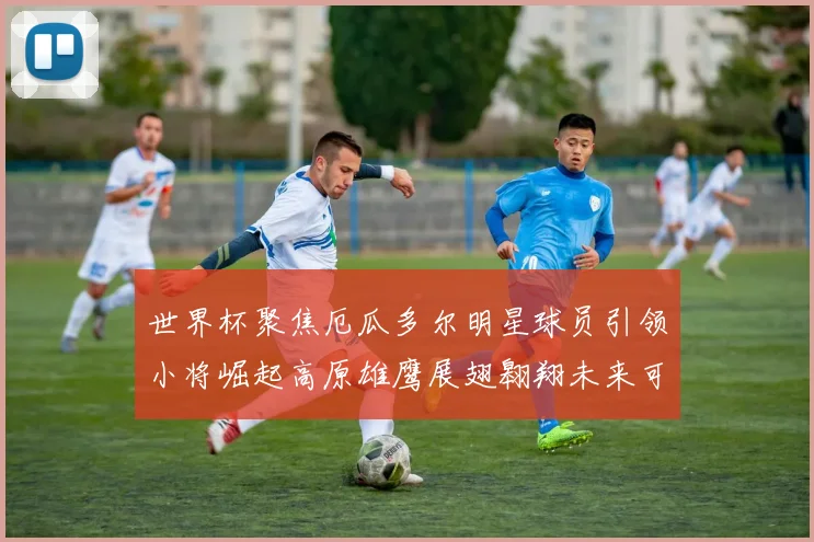 世界杯聚焦厄瓜多尔明星球员引领小将崛起高原雄鹰展翅翱翔未来可期
