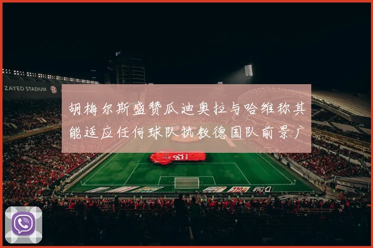 胡梅尔斯盛赞瓜迪奥拉与哈维称其能适应任何球队执教德国队前景广阔