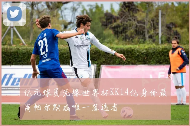 亿元球员无缘世界杯KK14亿身价最高帕尔默成唯一落选者