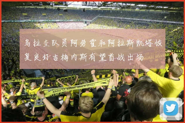 乌拉圭队员阿劳霍和阿拉斯凯塔恢复良好吉梅内斯有望首战出场